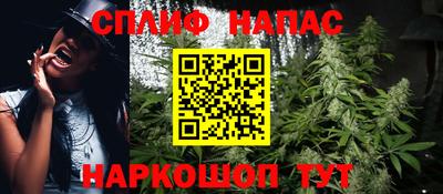стаф Бузулук