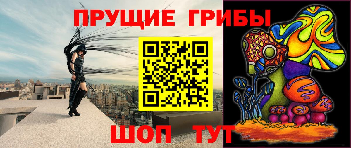 Старая Русса  Псилоцибиновые грибы GOLDEN TEACHER  наркошоп  Вход с VPN 